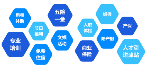 提供全面、系統(tǒng)、專(zhuān)業(yè)的培訓(xùn)和廣闊的<br>職業(yè)發(fā)展空間和提升機(jī)會(huì)